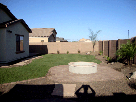 Arizona Tropical landscape design with sod, palm trees ...
