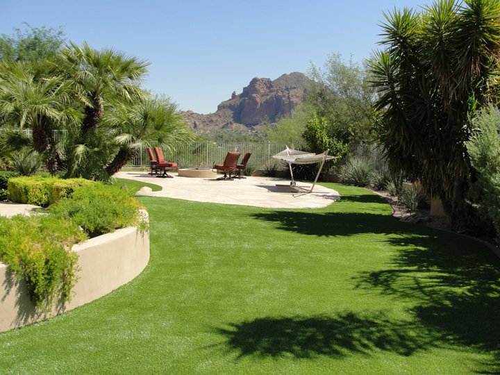 Synthetic Lawn backyard landscape